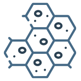 Tissue Recovery Agencies and Processors