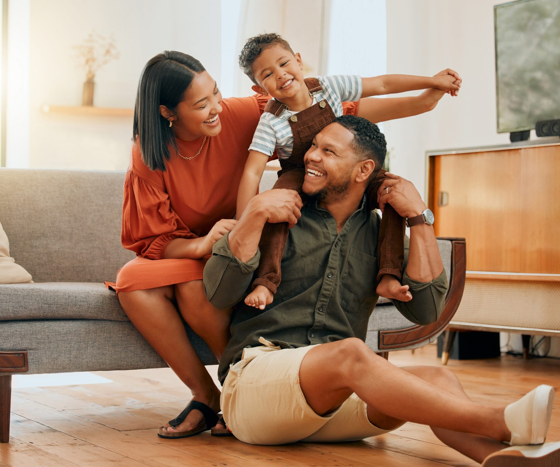 
						  organ donor management software					 